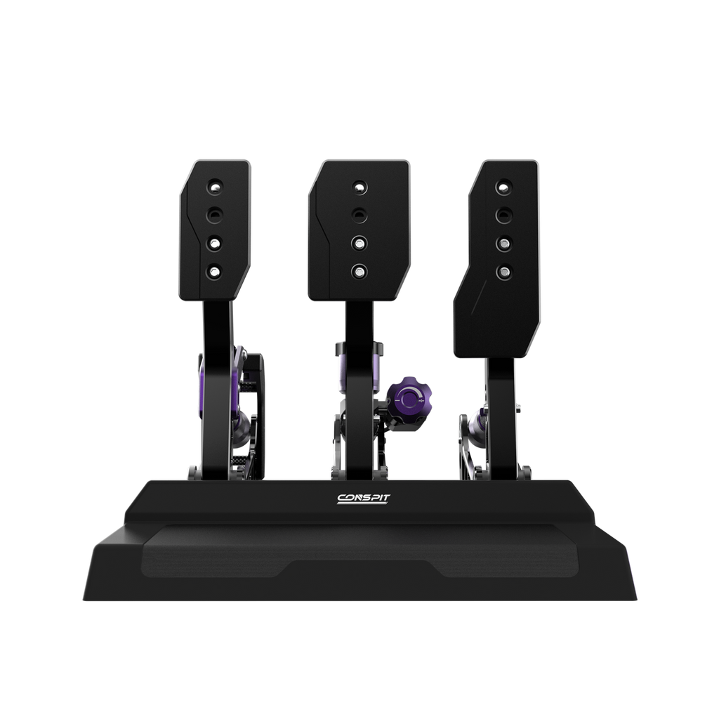 CONSPIT CPP-Lite 2-Pedal Version